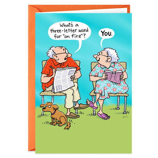 Hot For Each Other Funny Anniversary Card, 