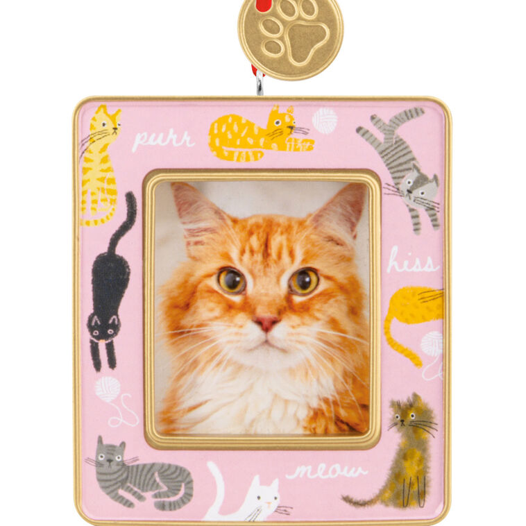 Cats on Pink Photo Frame Christmas Ornament closeup view image number 5