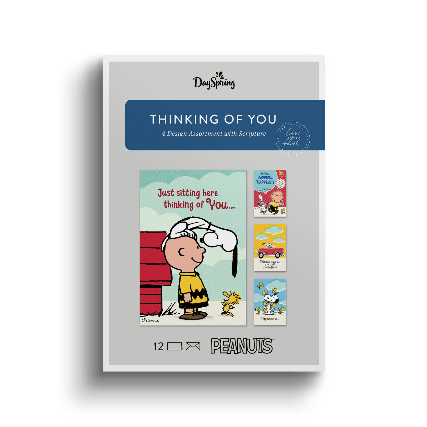 Peanuts DaySpring Thinking of You Cards Assortment package front image number 2
