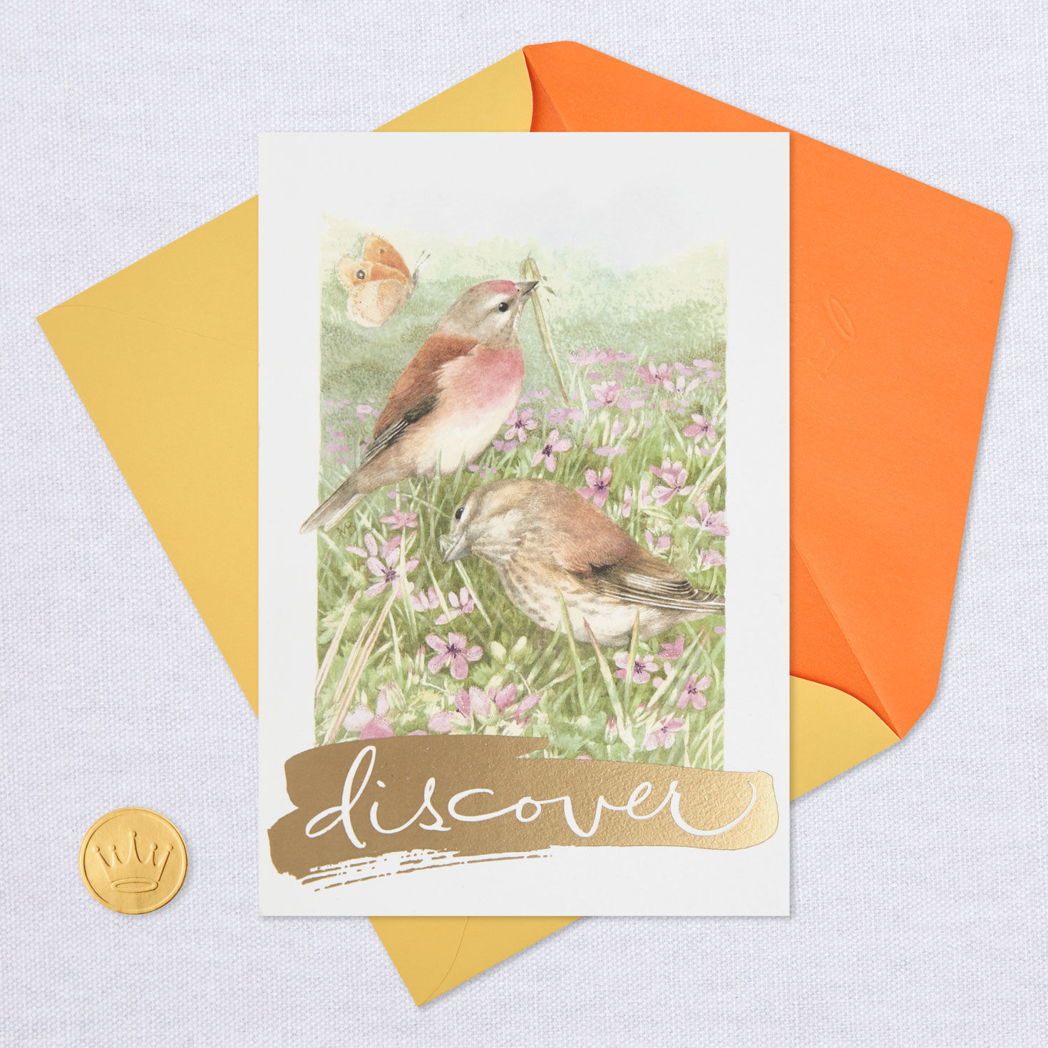 Marjolein Bastin Discover Good Things Birthday Card for only USD 3.99 | Hallmark