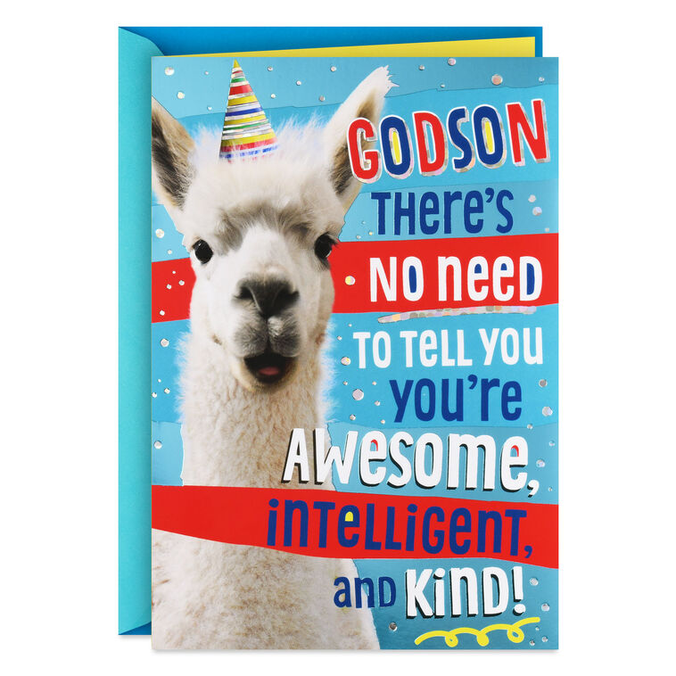 You're Made in God's Image Llama Birthday Card for Godson