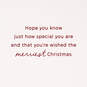 You Are Special Christmas Card for Sister and Brother-in-Law, , large image number 2