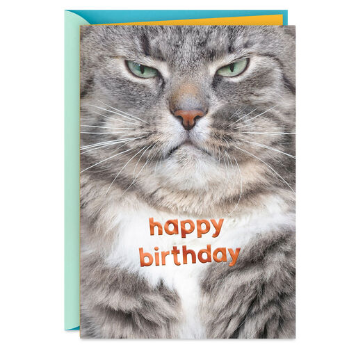 Grumpy Cat Funny Birthday Card, 