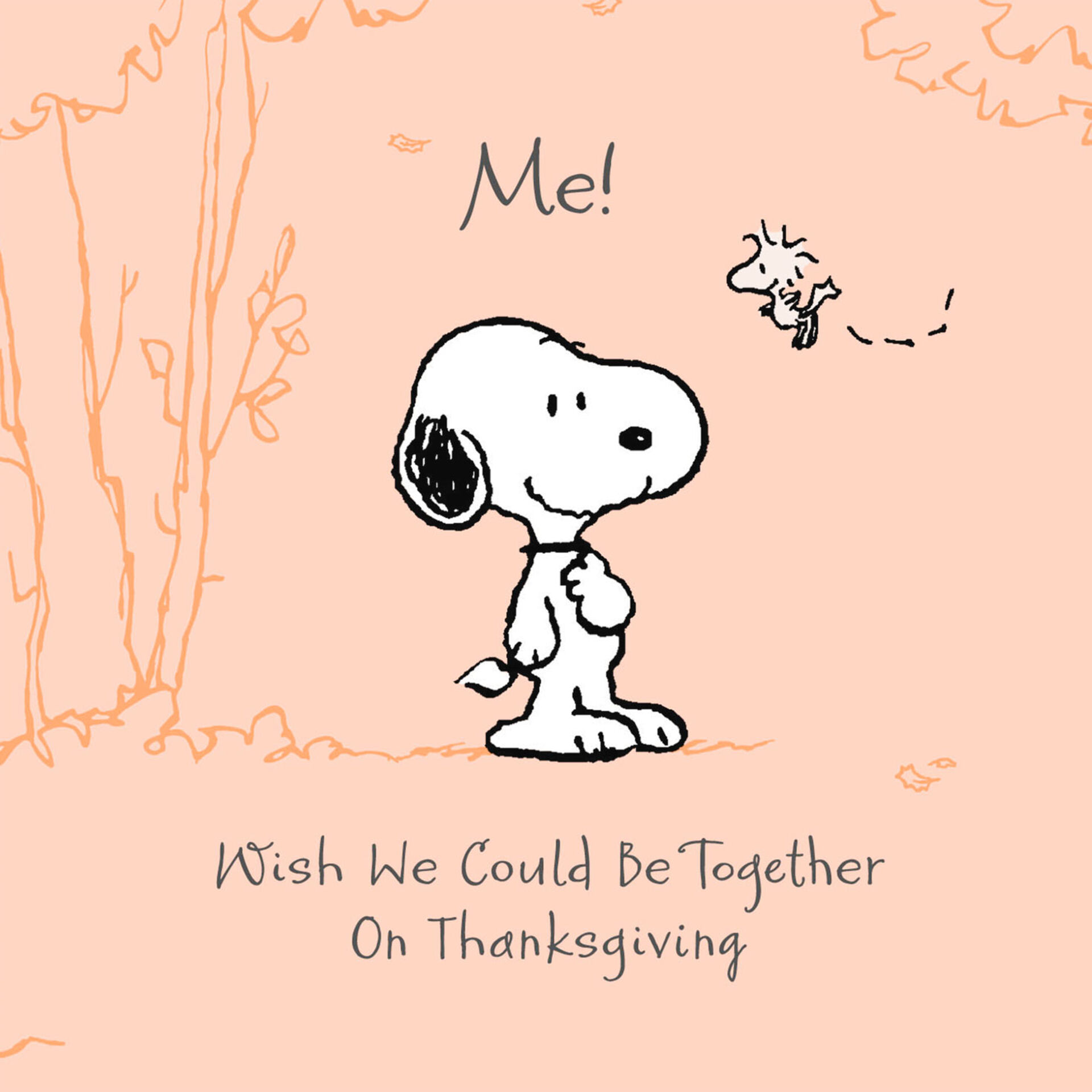 Macys collin creek thanksgiving