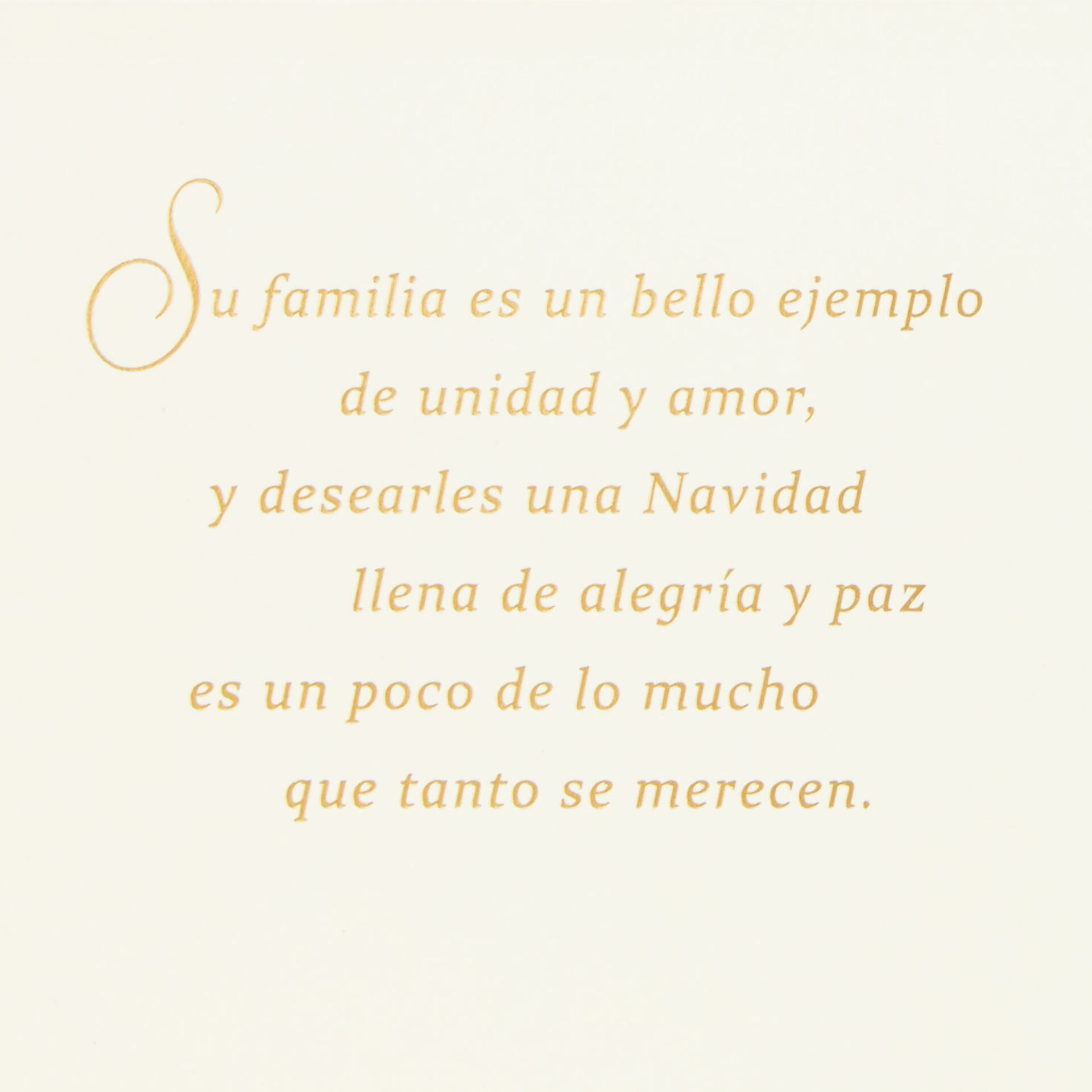 Your Beautiful Family SpanishLanguage Christmas Card