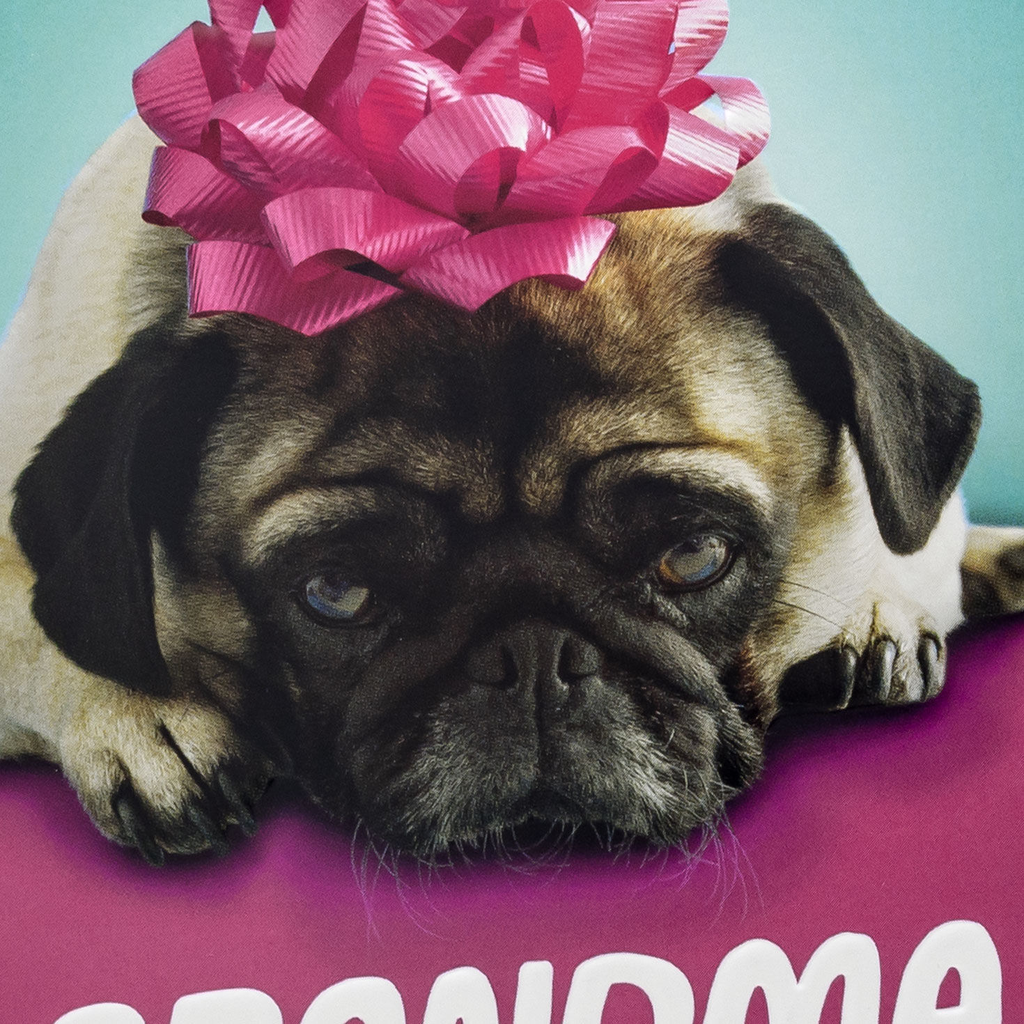 Funny Pug Puppy Dog Mother's Day Card for Grandma Card Front Detail image number 4