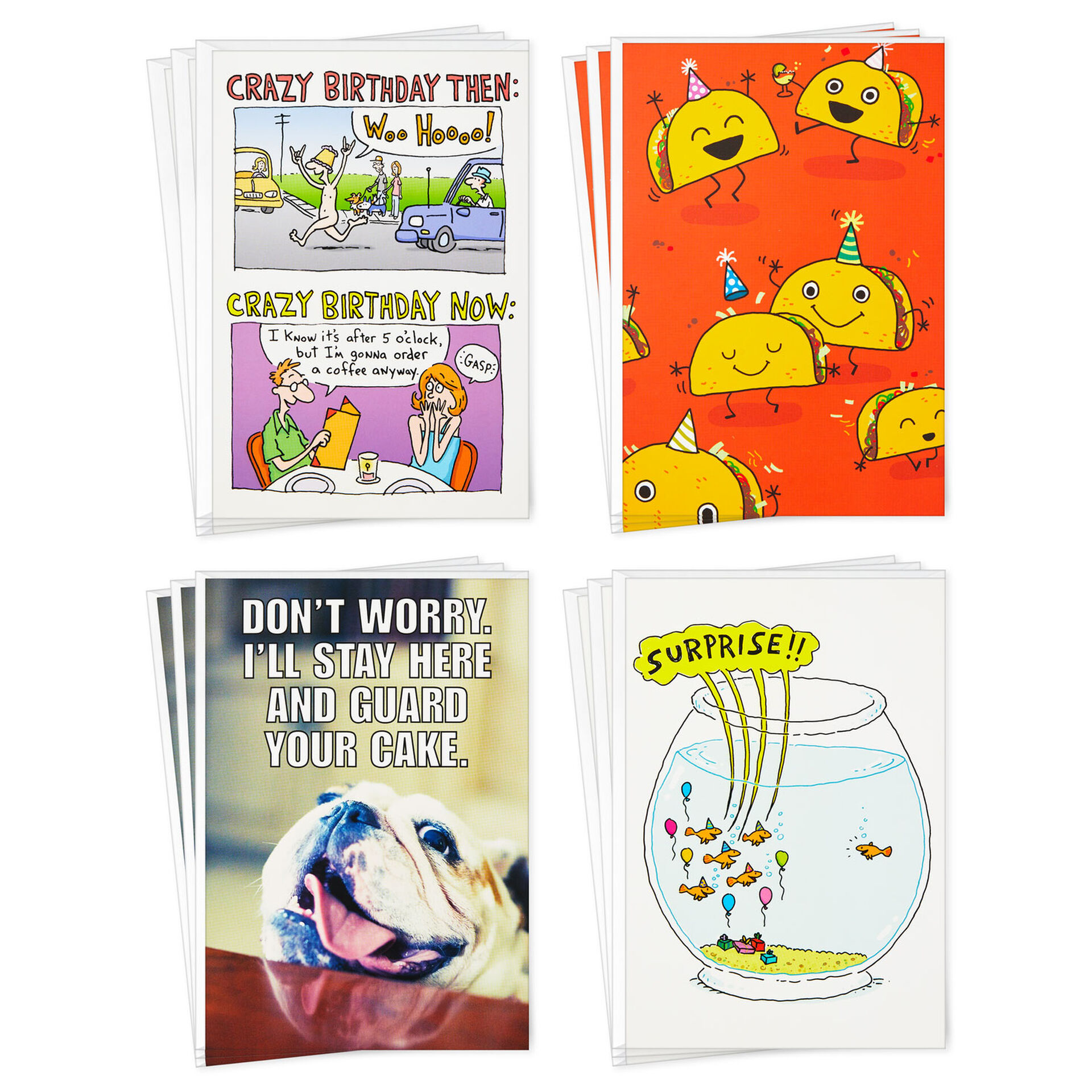 Funny Assorted Boxed Blank Birthday Cards, Pack of 12 Boxed Cards