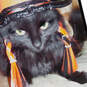 Unhappy Black Cat Witch Funny Halloween Card, , large image number 4