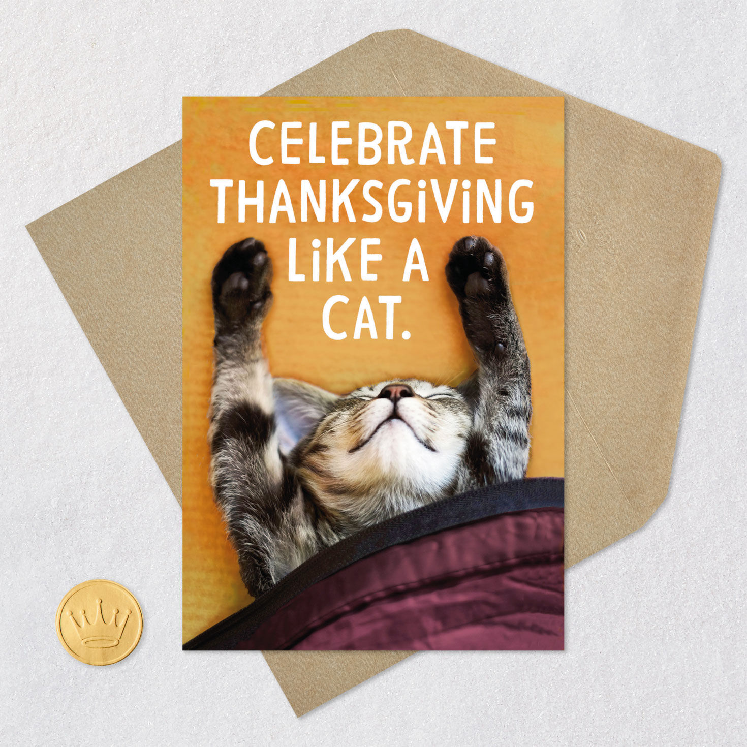 Celebrate Like a Cat Funny Thanksgiving Card, , large image number 5