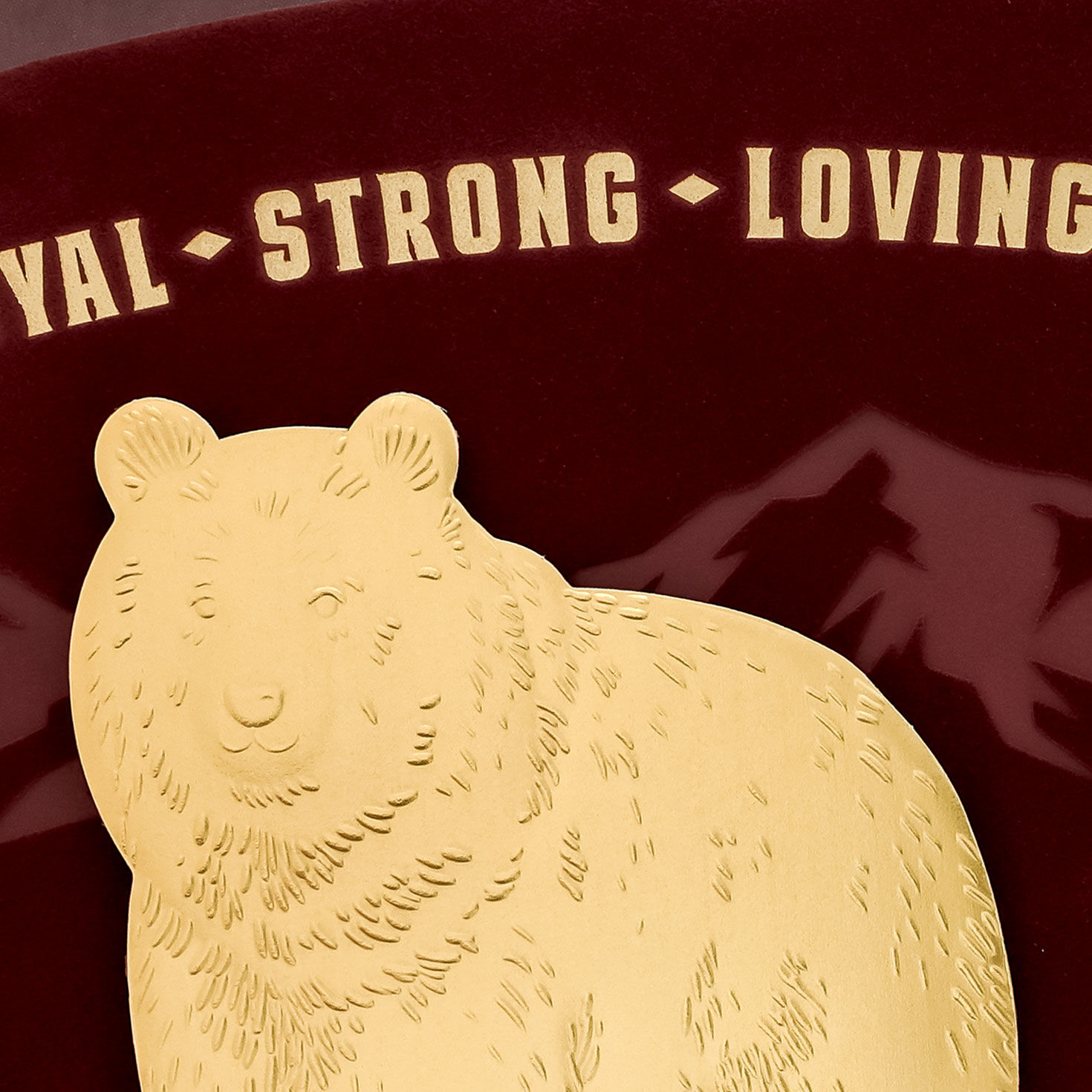 Papa Bear Father's Day Card Card Front Detail image number 4