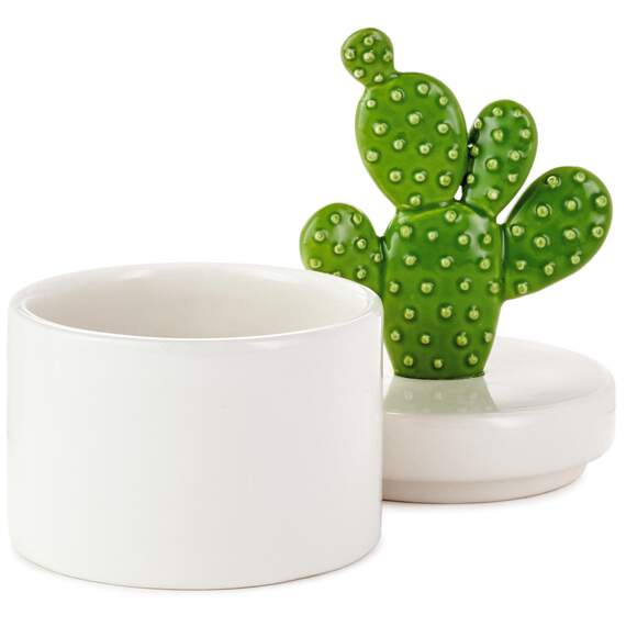 Ceramic Prickly Pear Cactus Lidded Box, , large image number 2