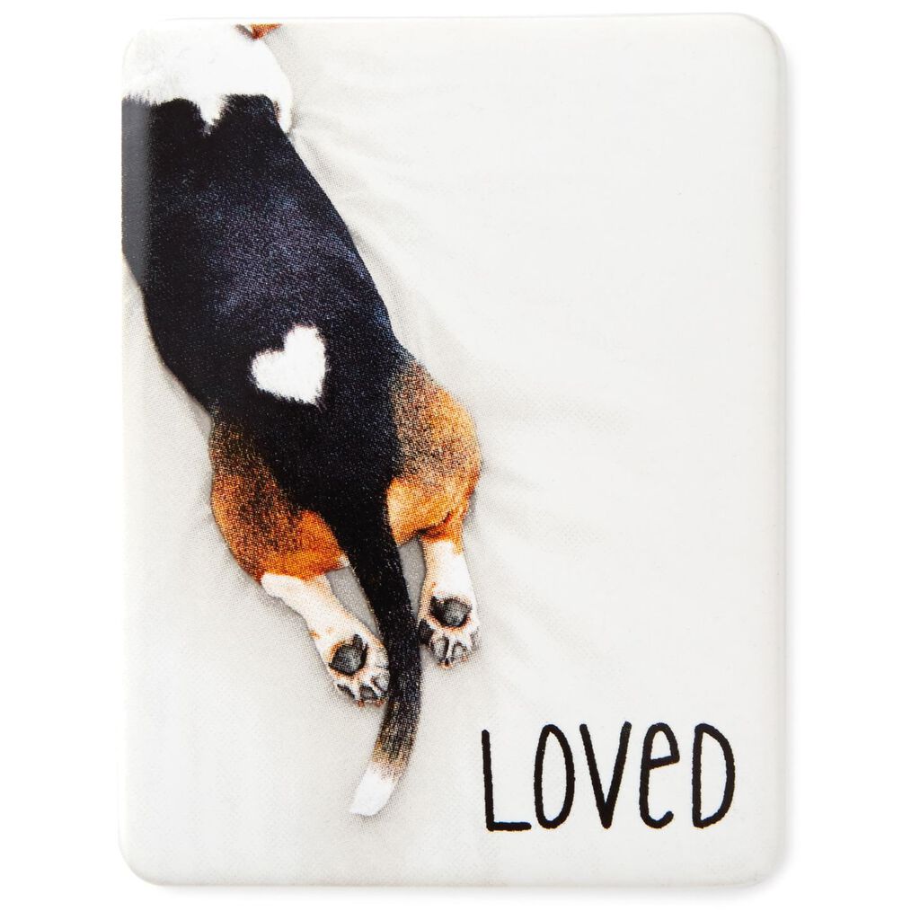 Loved Dog Magnet Desk Accessories Hallmark Loved Dog Magnet