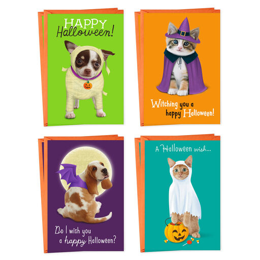 Dogs and Cats in Costume Assorted Halloween Cards, Pack of 8, 