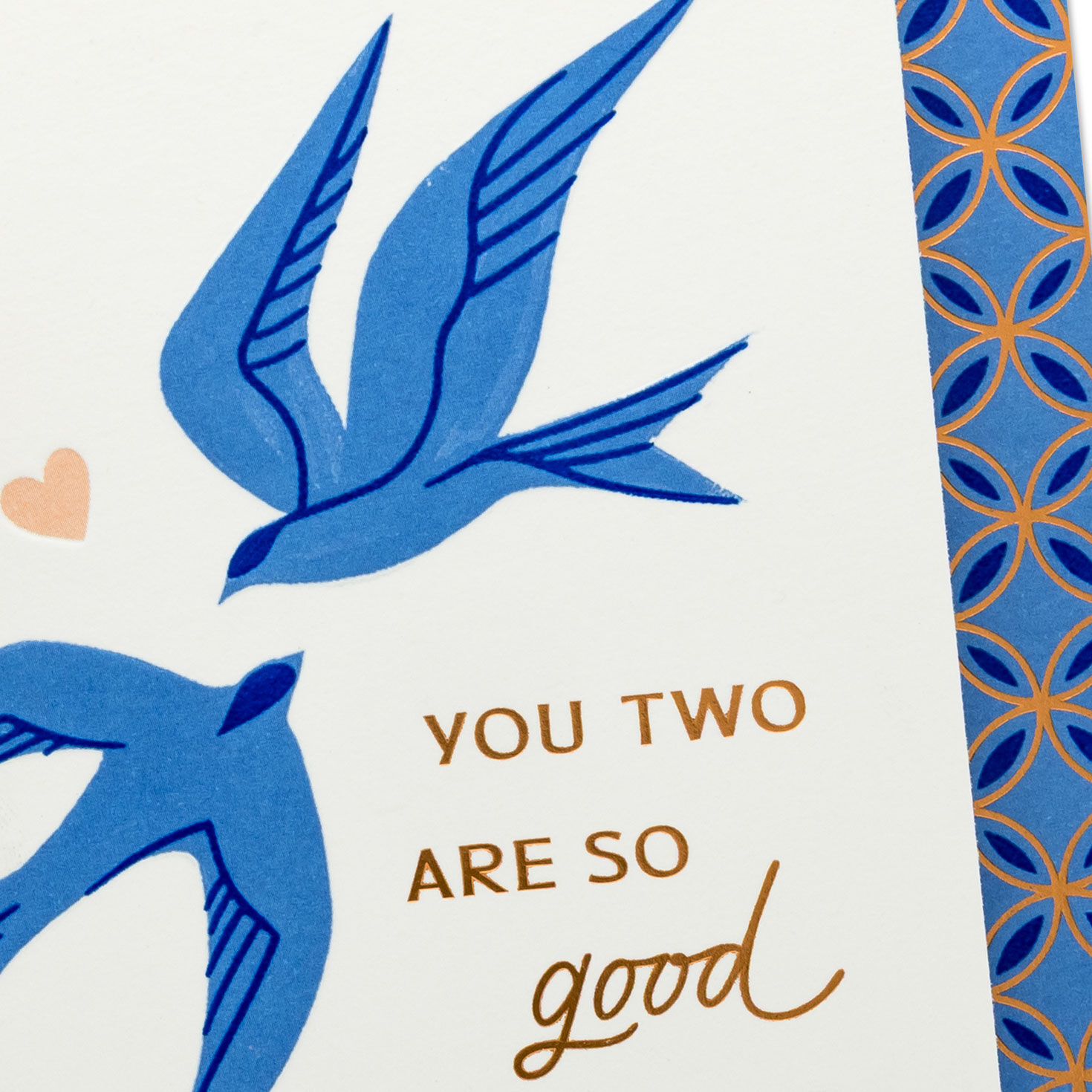 Blue Love Birds Couple Anniversary Card Card Front Detail image number 4