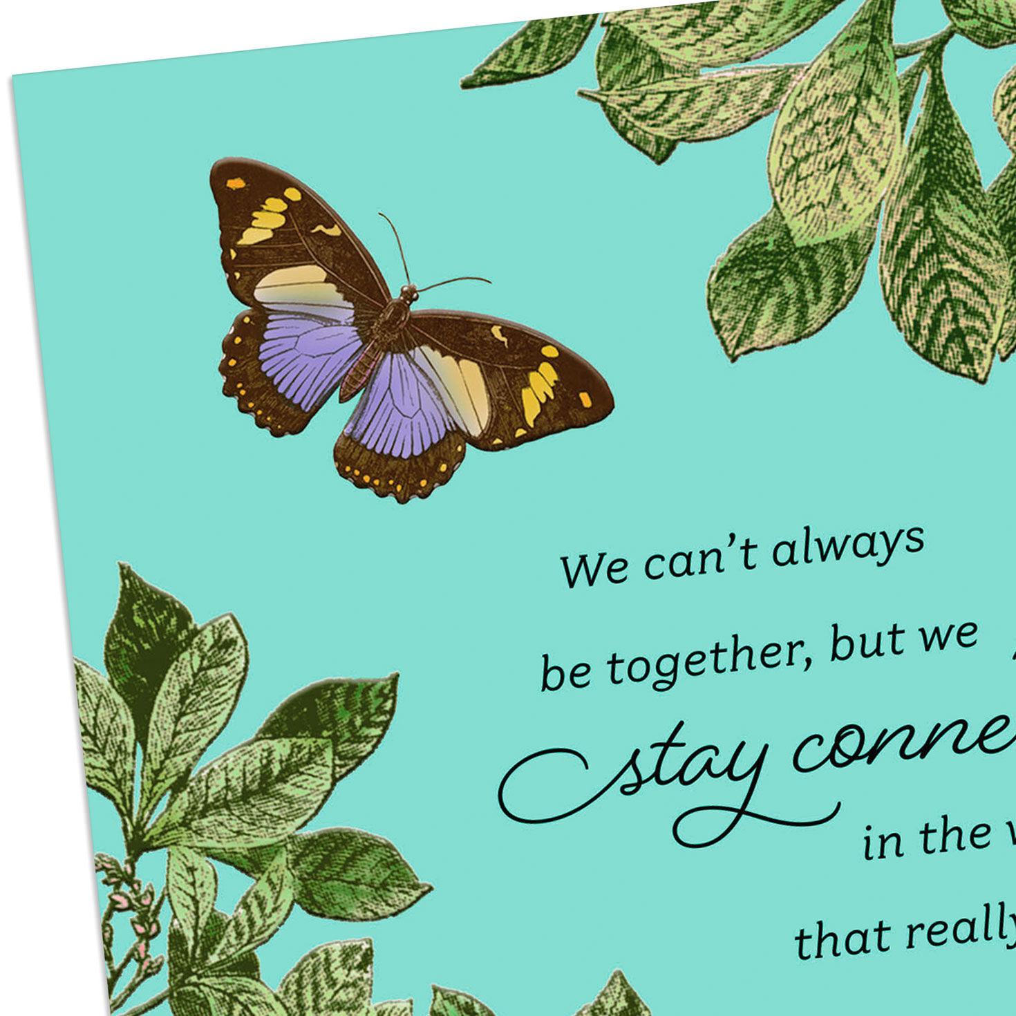 Butterflies on Mint Green Mother's Day Card Card Front Detail image number 4