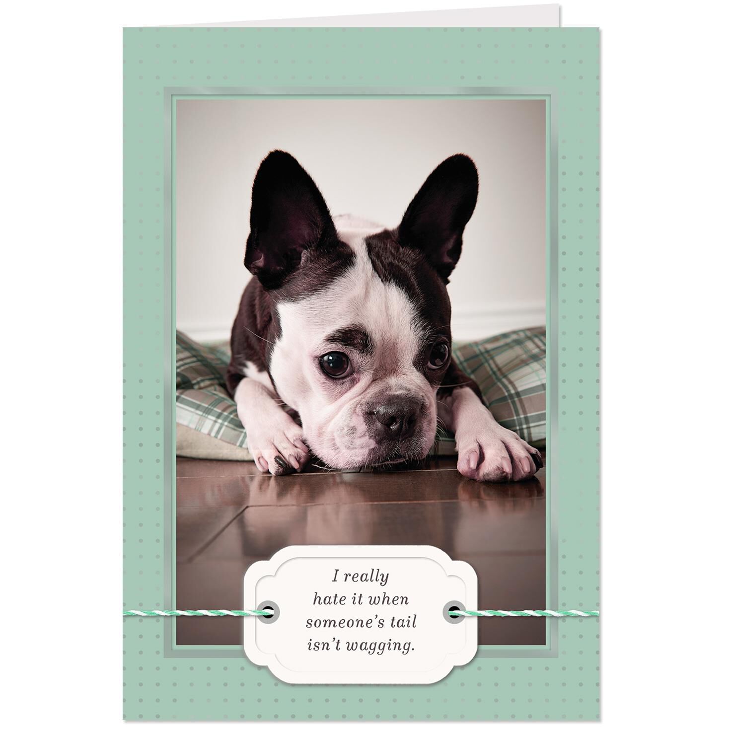 lets make that tail wag again dog get well card greeting cards make a get well card