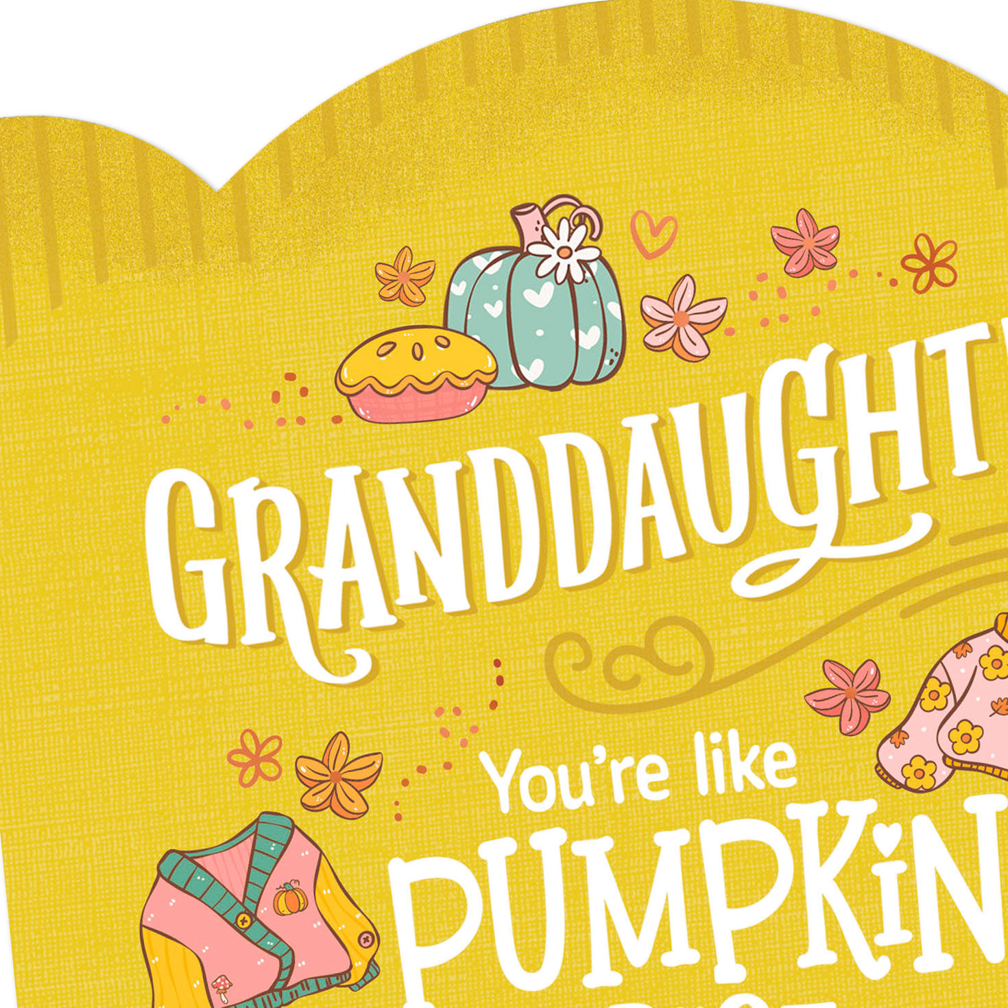 Pumpkin Spice and Everything Nice Thanksgiving Card for Granddaughter for only USD 2.00 | Hallmark