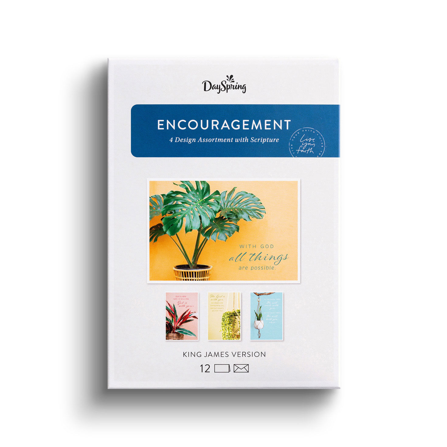 Plants DaySpring Encouragement Cards Assortment package front image number 2