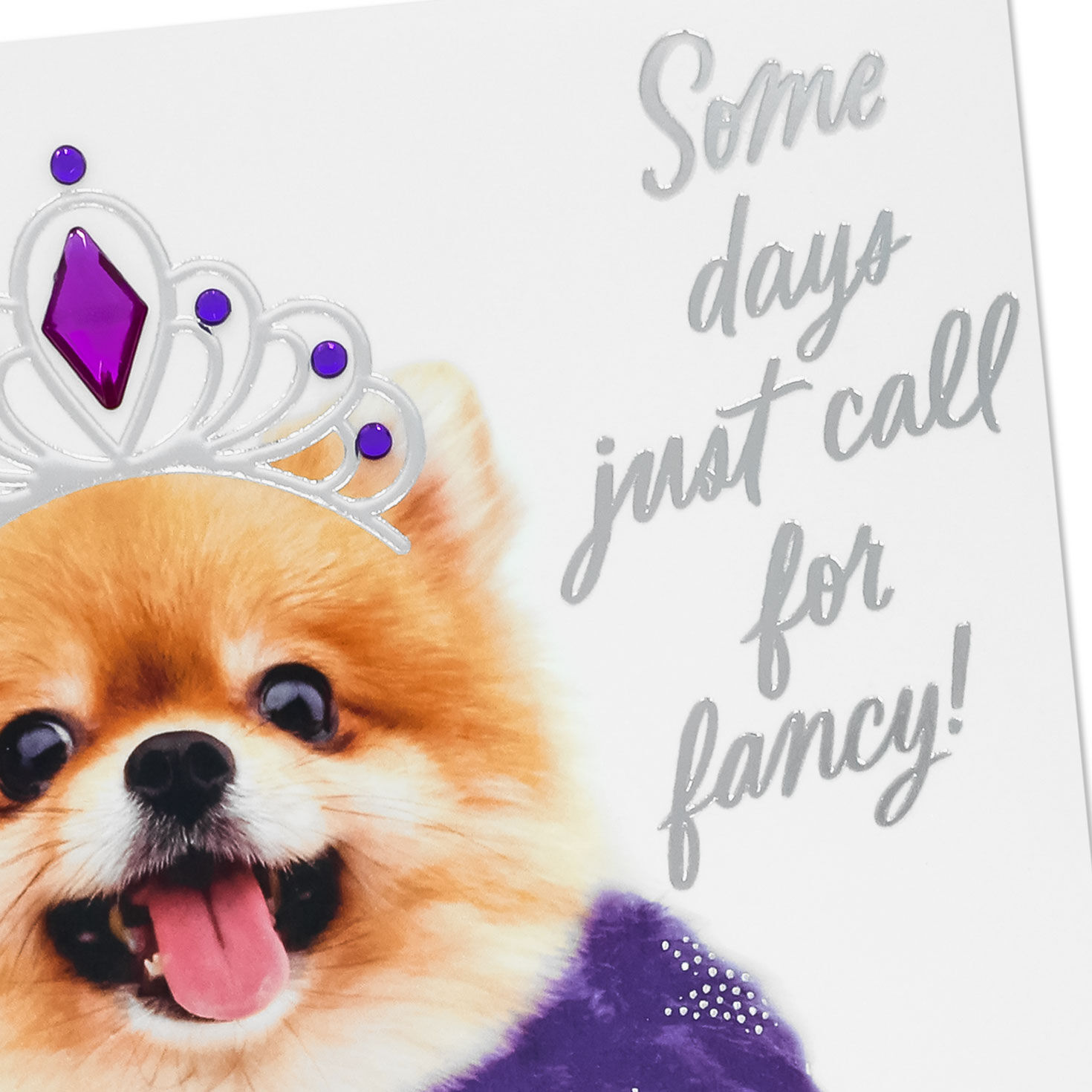 Dog in Feather Boa Birthday Card Card Front Detail image number 4