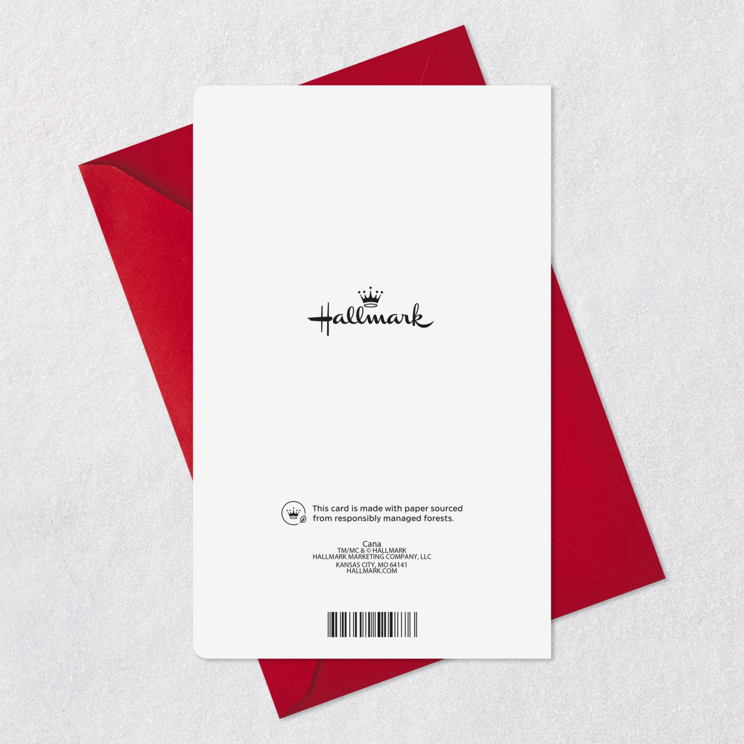 Stay Cozy This Holiday Christmas Card for only USD 2.99 | Hallmark
