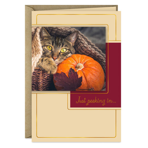 Just Peeking In Cat and Pumpkin Thanksgiving Card, 
