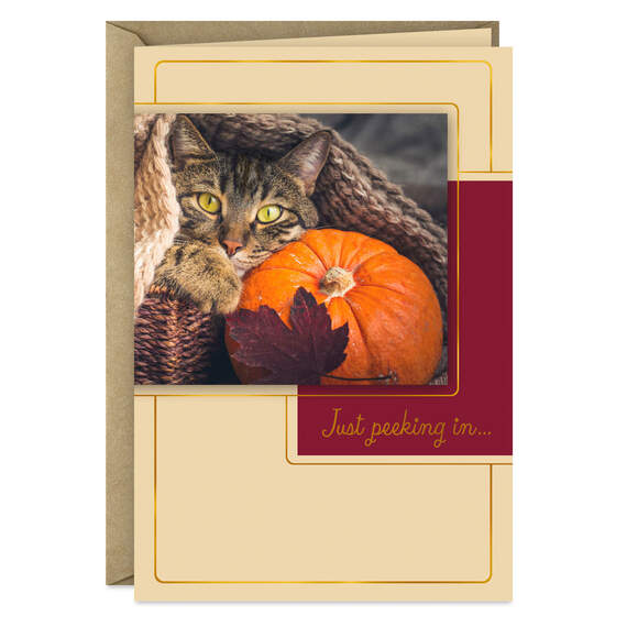 Just Peeking In Cat and Pumpkin Thanksgiving Card