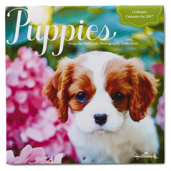 Puppies 2017 Mini Wall Calendar, , large image number 1