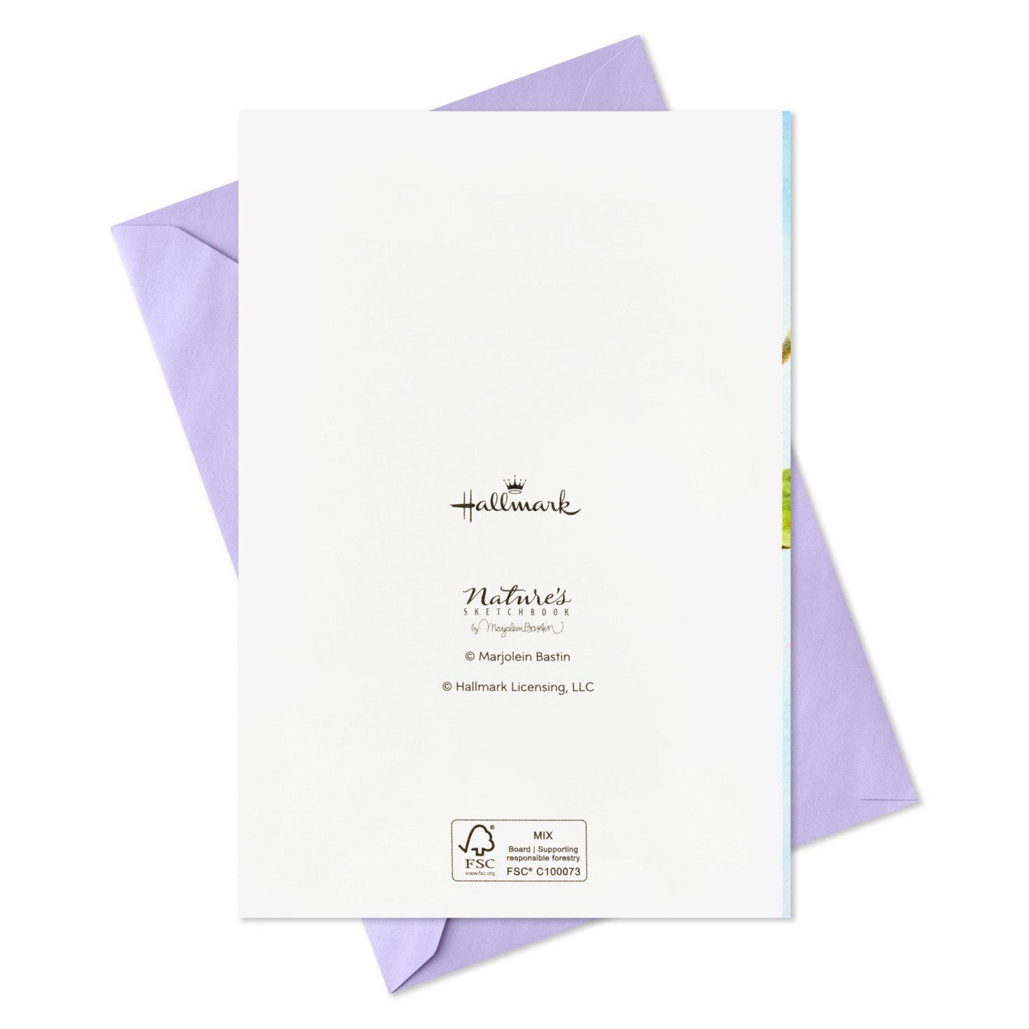 Marjolein Bastin Springtime Beauty Assorted Boxed Easter and Spring Cards, Pack of 36, , large image number 8