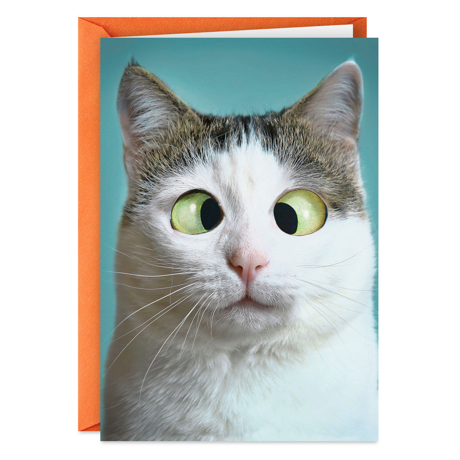 Cross-Eyed Cat Funny Love Card Card Front image number 1