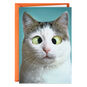 Cross-Eyed Cat Funny Love Card Card Front image number 1