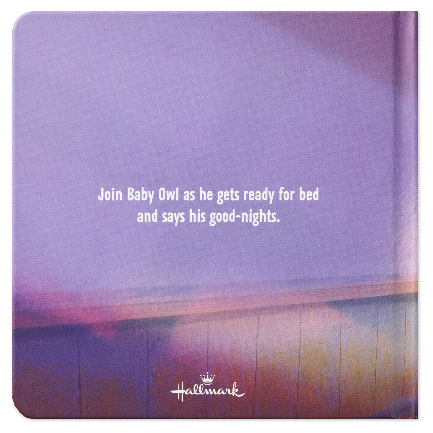 Goodnight Baby Owl Board Book for Kids back image number 2