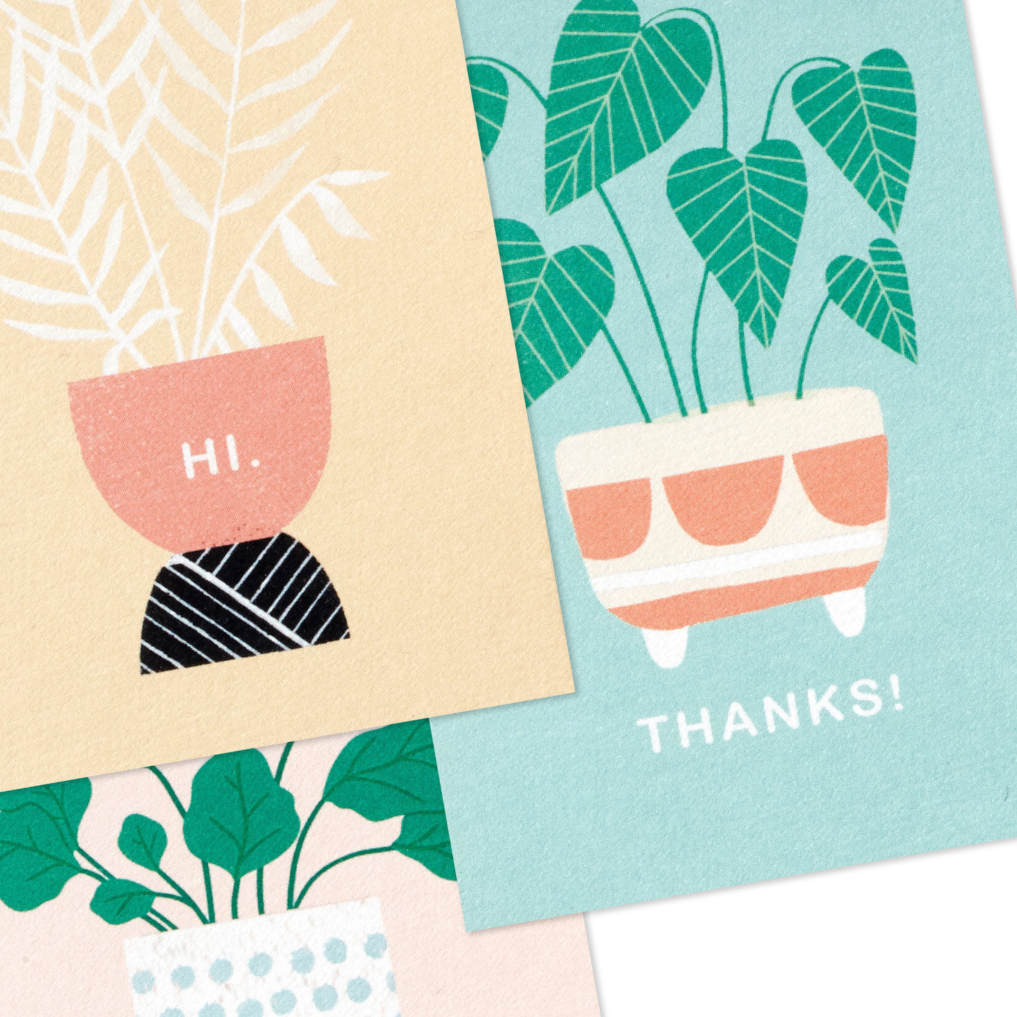 Potted Plants Mini Note Cards Pack closeup view image number 4