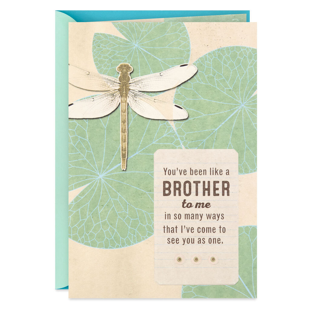 Love You Like A Brother Birthday Card Greeting Cards Hallmark