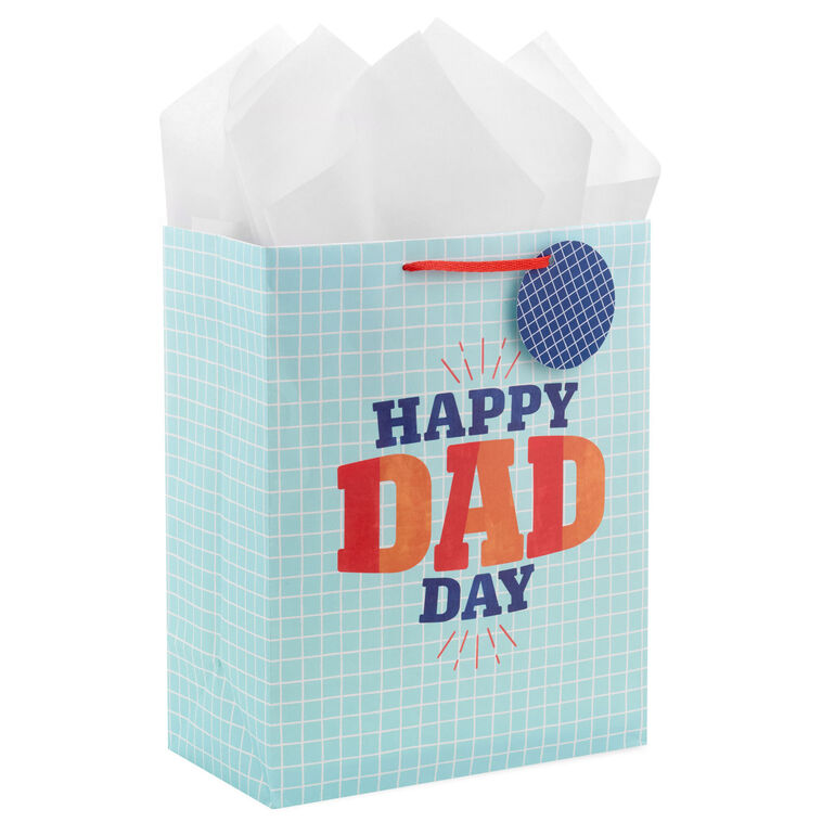 Blue Grid Large Father's Day Gift Bag With Tissue front image number 1
