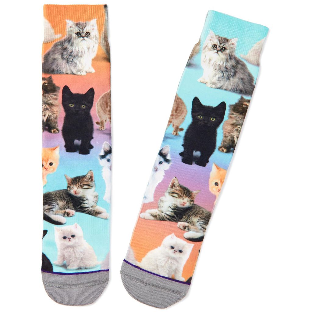 Cute Cats Toe Of A Kind Novelty Socks Socks Shoes Hallmark