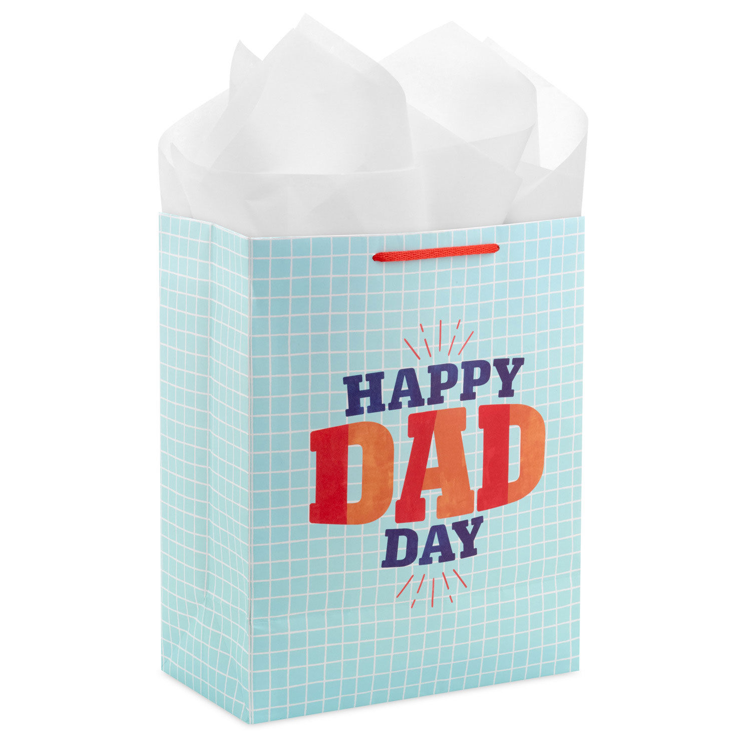 Blue Grid Large Father's Day Gift Bag With Tissue back image number 6