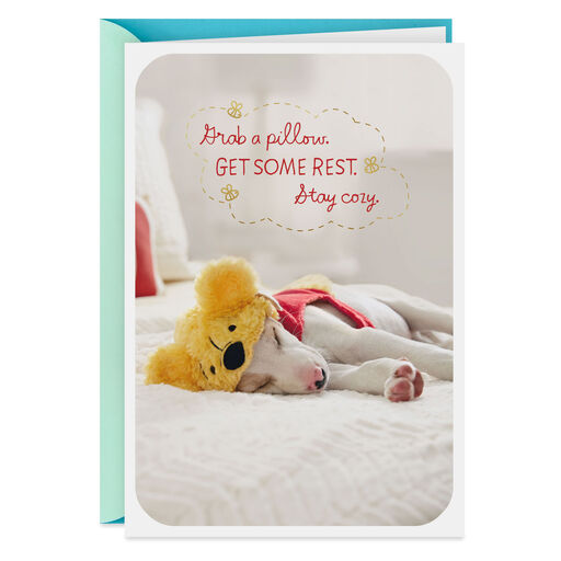 Disney Winnie the Pooh Sleeping Puppy Get Well Card, 