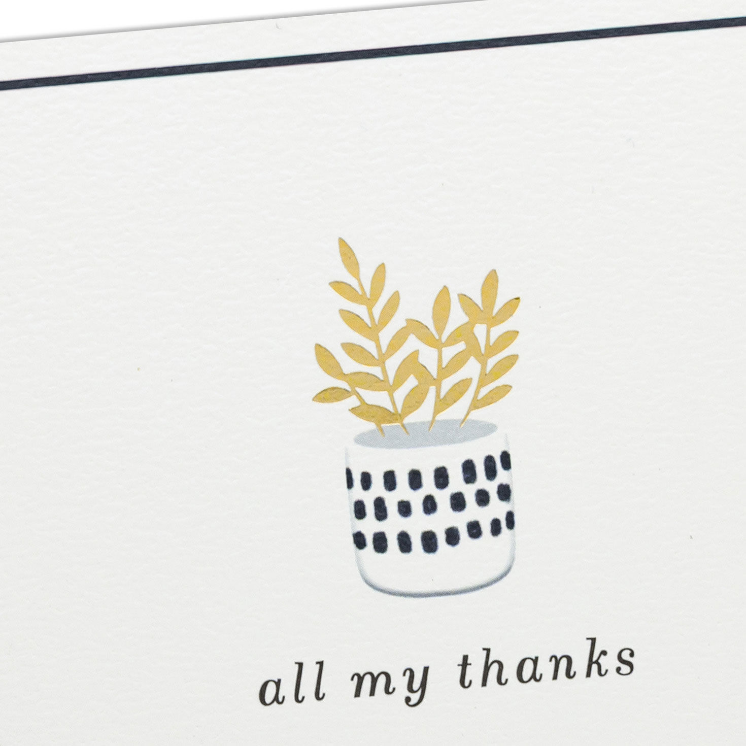 Black and White Potted Plant Thank You Cards Pack Cover Detail image number 4