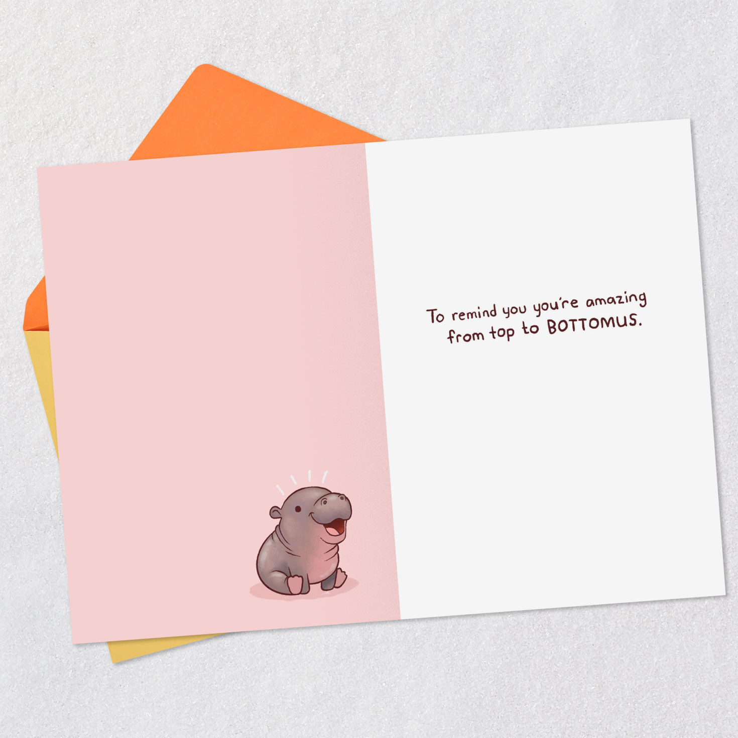 Pygmy Hippo Encouragement Card Open card with envelope image number 3