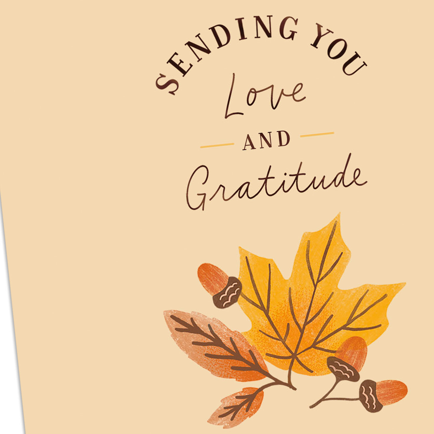 Especially Thankful for You Thanksgiving Card for only USD 2.99 | Hallmark