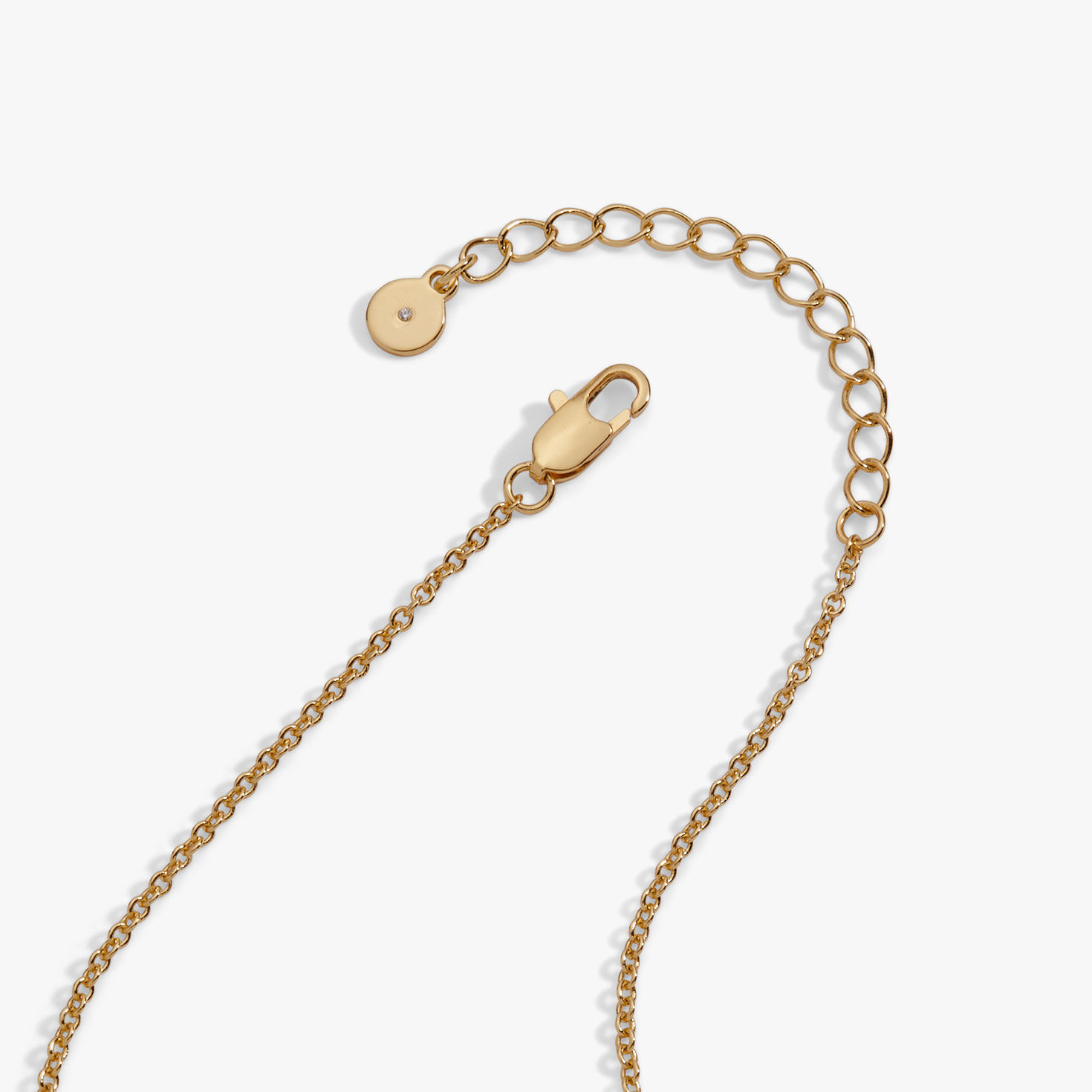 Alex And Ani Coffee Bean 'Happiness Wealth Health' Engraved Pendant Necklace upclose view image number 2