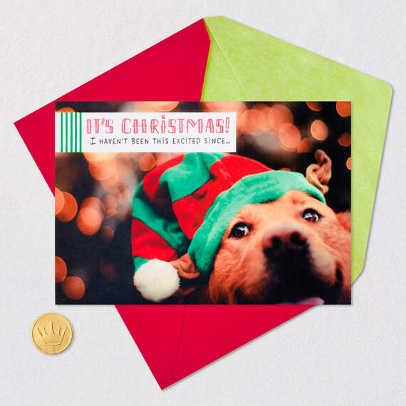 Pawsome Elf Pup Funny Christmas Card From the Dog, , large image number 5