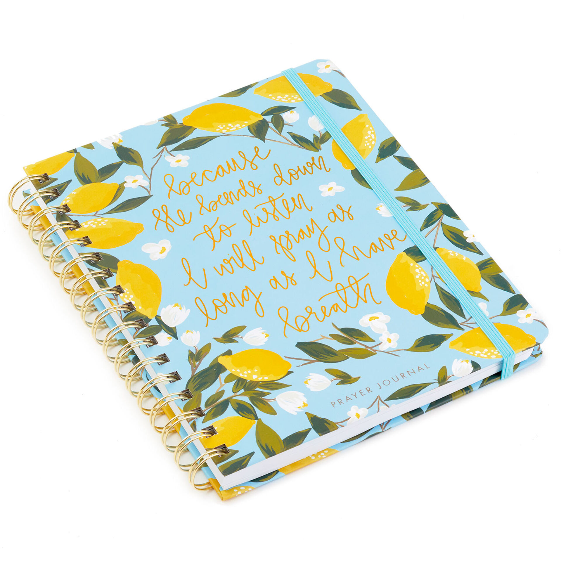 Mary Square Lemons Prayer Journal Journals Hallmark