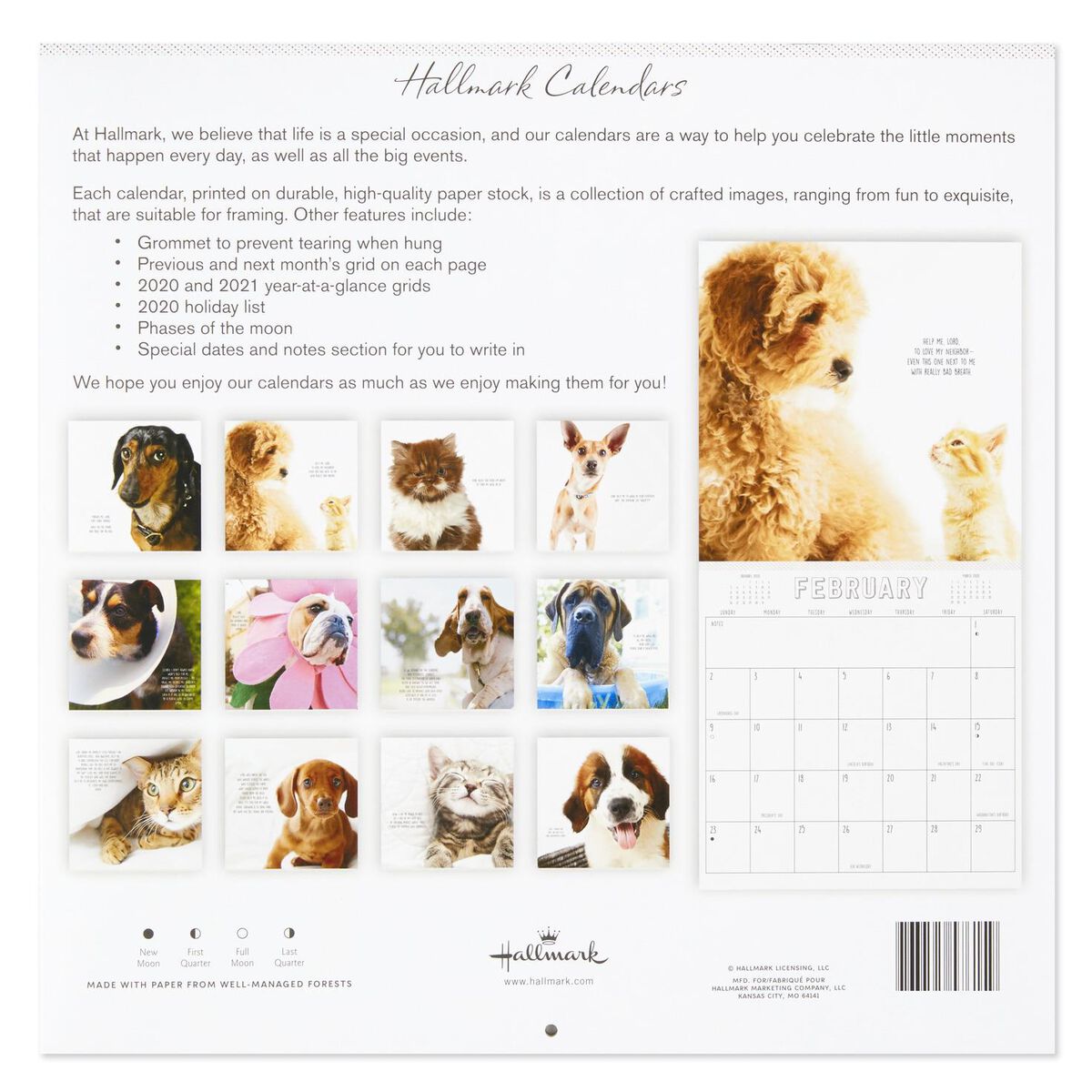 pet-prayers-funny-pleas-and-praise-from-our-animal-friends-2020-wall-calendar-12-month