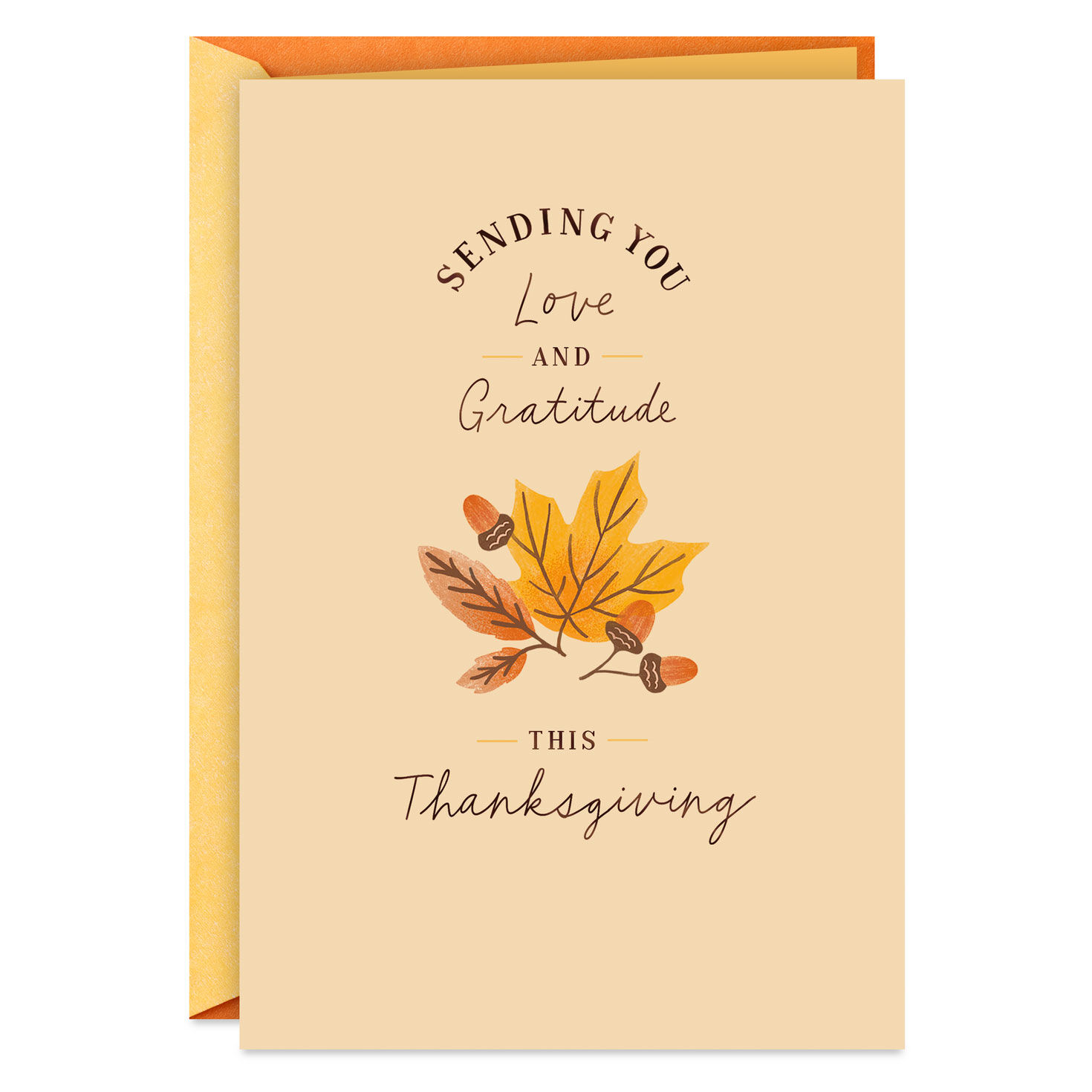 Especially Thankful for You Thanksgiving Card for only USD 2.99 | Hallmark