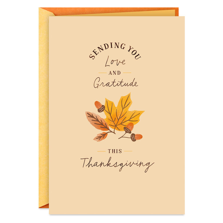 Especially Thankful for You Thanksgiving Card
