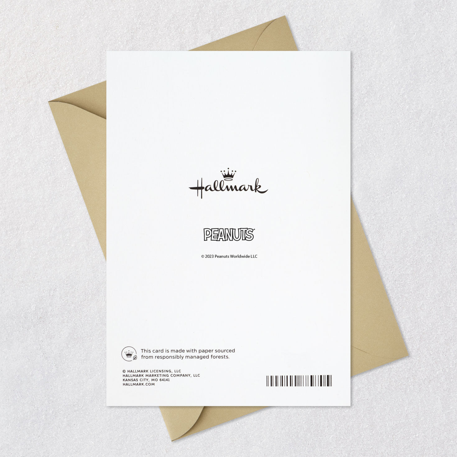 Peanuts&reg; Snoopy and Woodstock Lots of Love Thanksgiving Card, , large image number 7