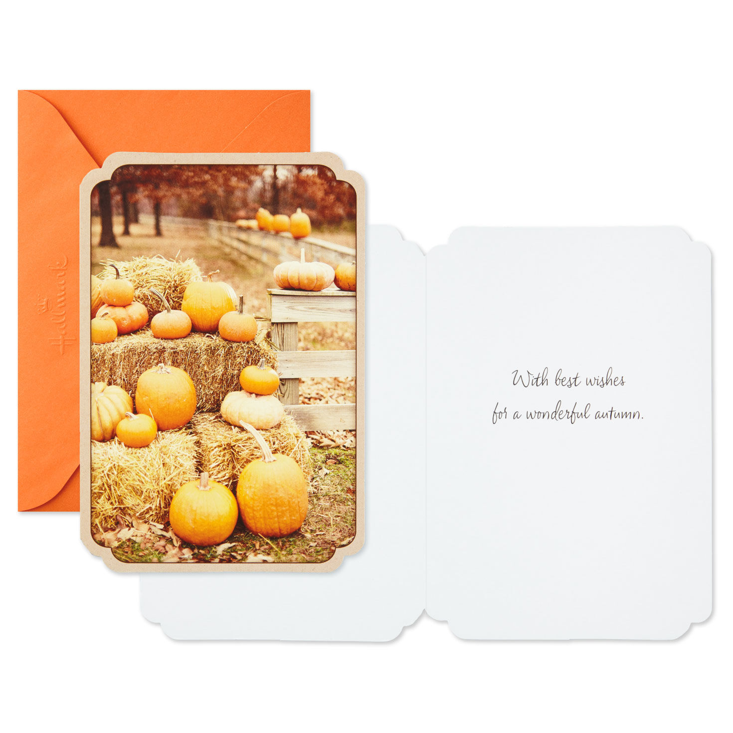 Pumpkin Fall Scenes Assorted Halloween Cards, Pack of 6, , large image number 3