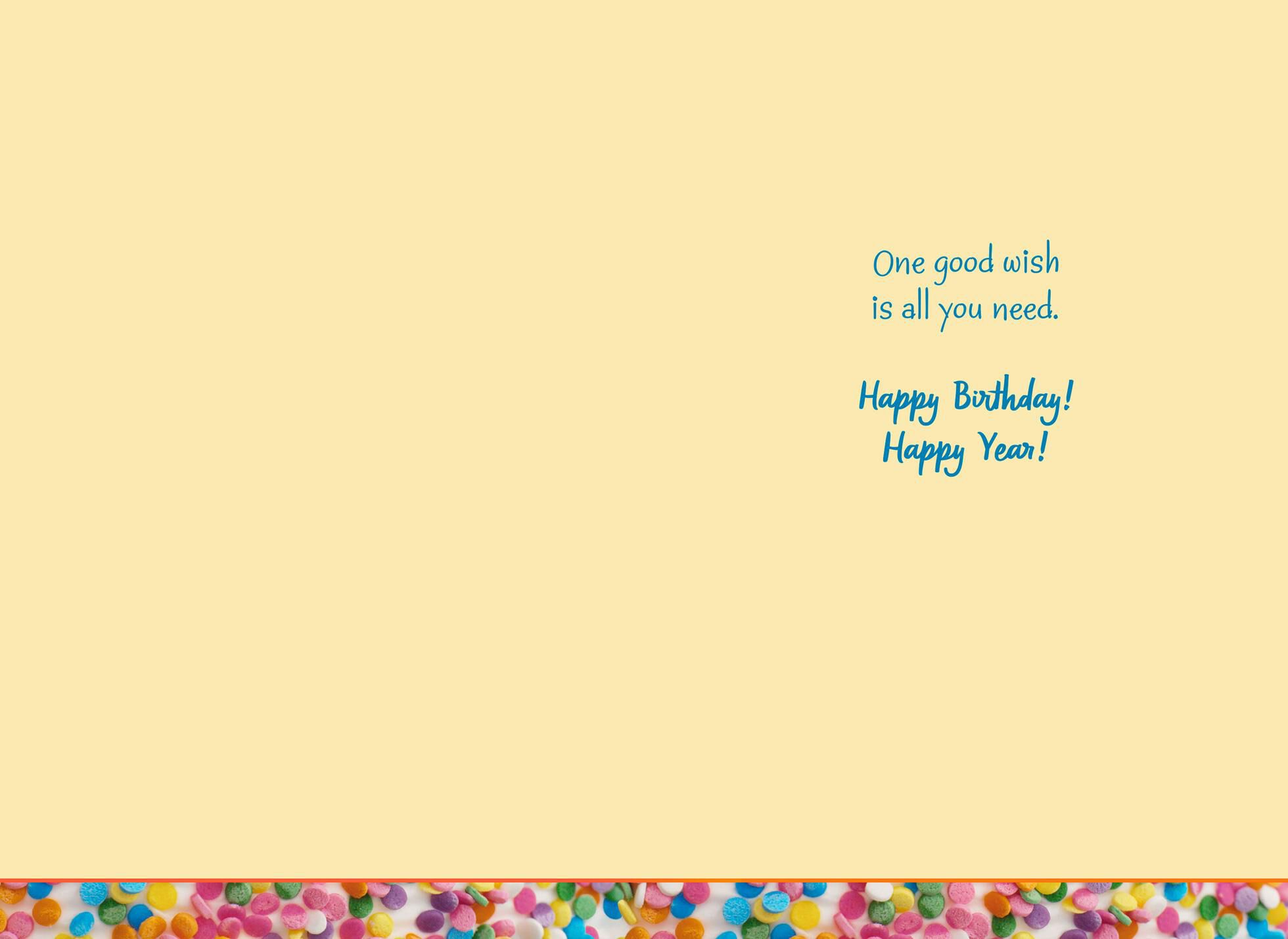 Confetti Cake Wish Big Birthday Card