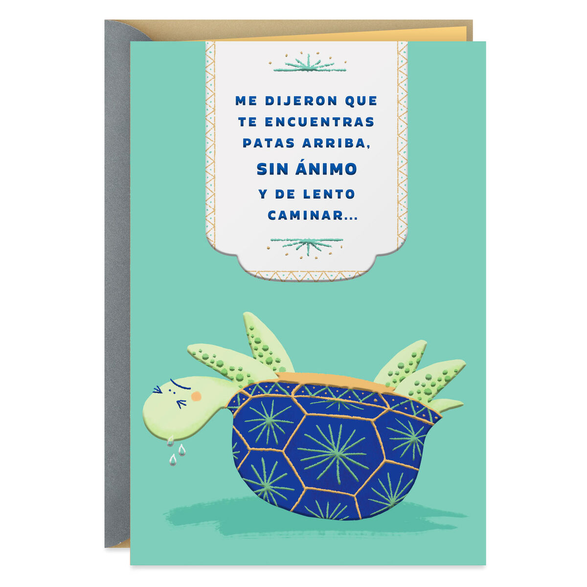 turtle-spanish-language-get-well-card-greeting-cards-hallmark